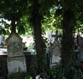 Field cemetery